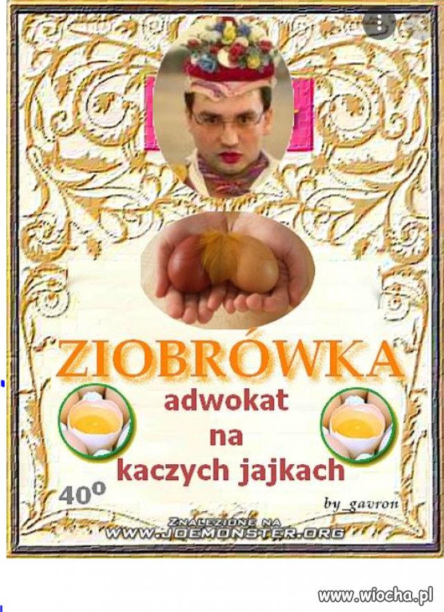 Ziobrowka na kaczych jajach