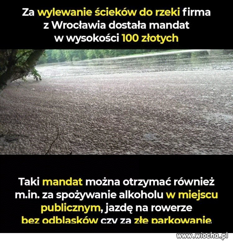 Takie rzeczy tylko w Polsce
