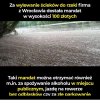 Takie rzeczy tylko w Polsce