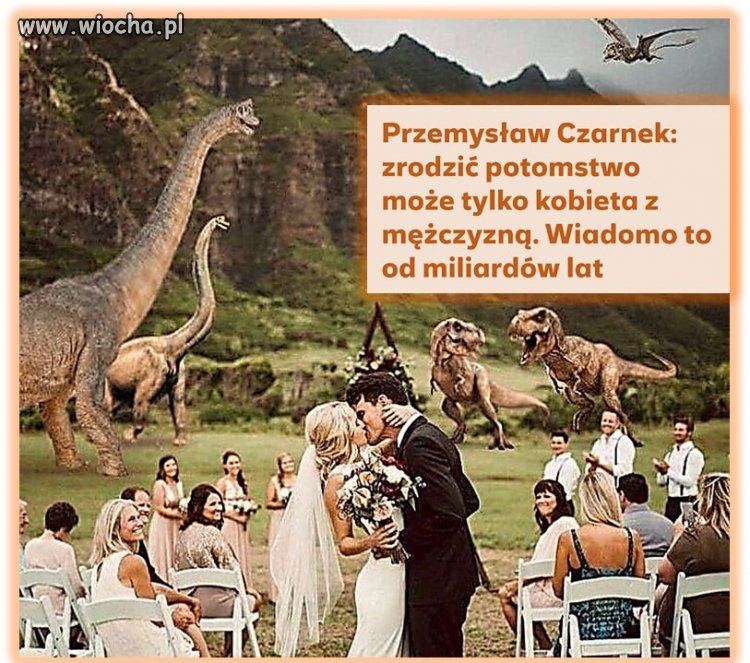 Tylko to tu zostawię