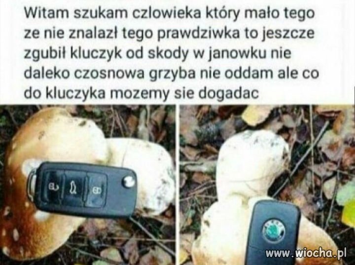 Sezon na grzyby rozpoczęty 