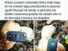 Sezon na grzyby rozpoczęty 