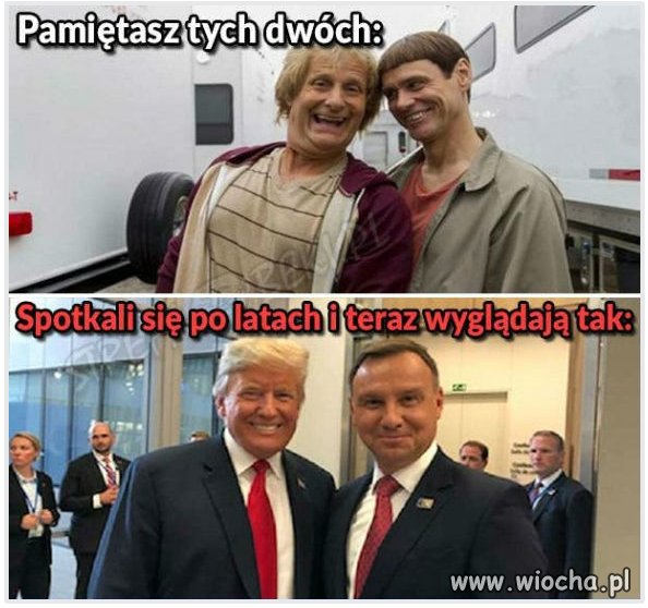  Dumb & Dumber