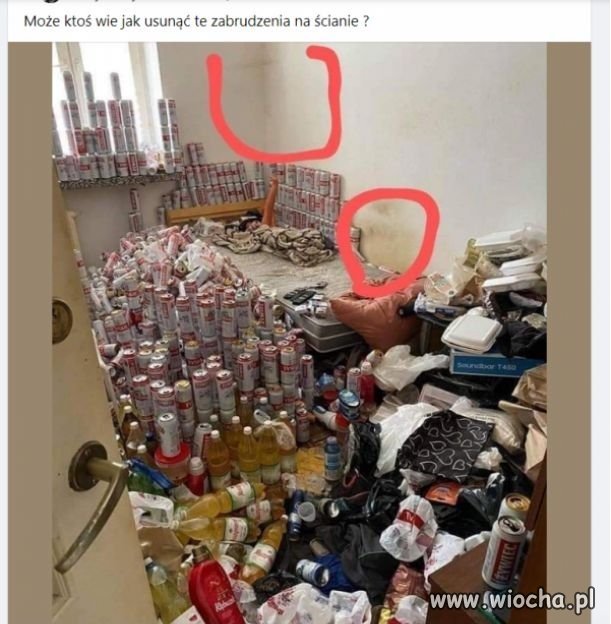 Może ktoś wie ...