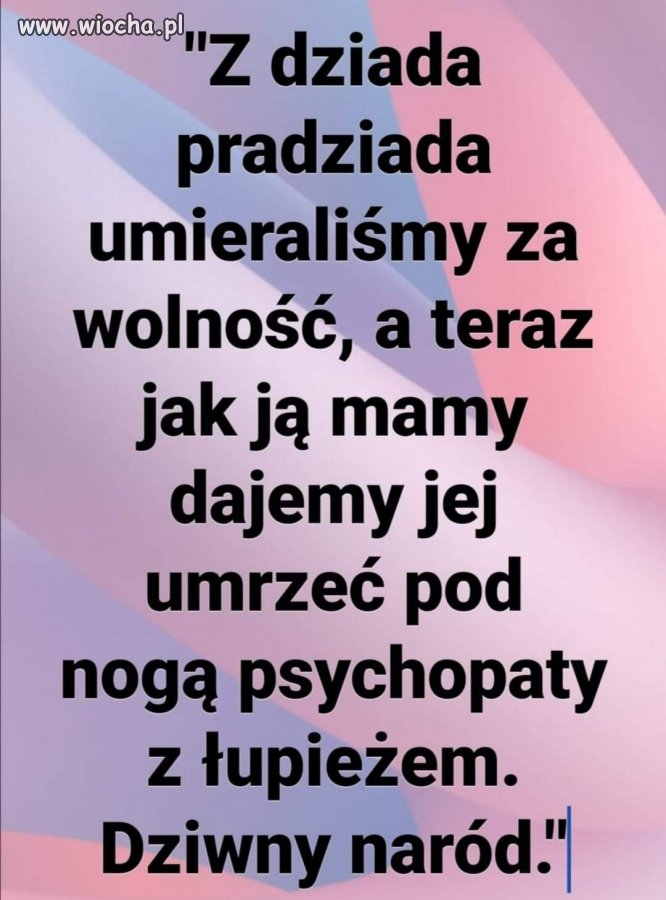Jestem za 