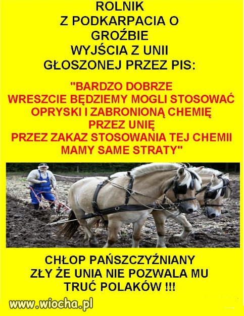 Teraz reprezentanci takiego elektoratu rzadza Polska!