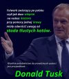 Tytuł zbędny