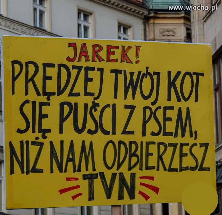 Tytuł zbędny.