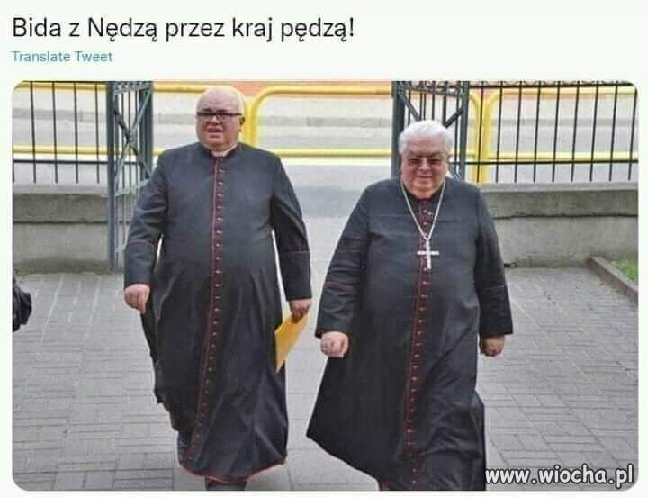 Ojojoj 