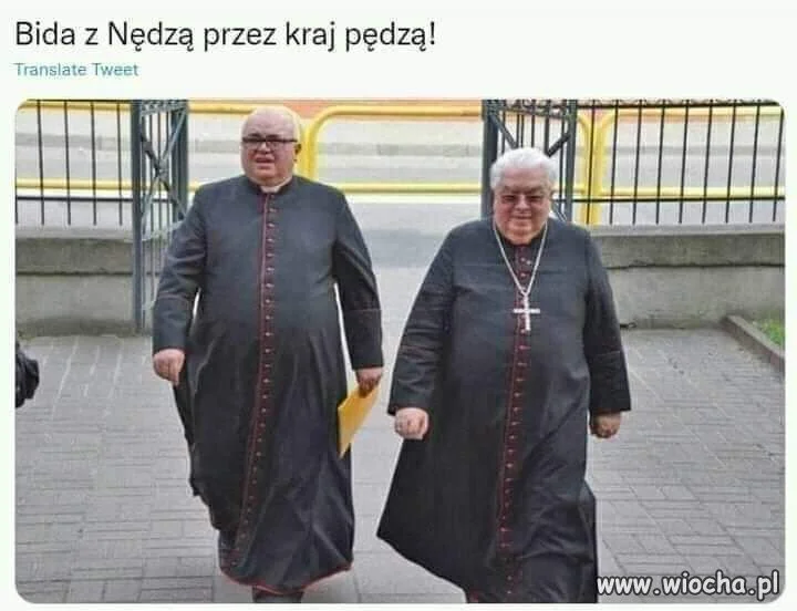 Ojojoj 