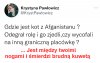 Kot się schował między ...
