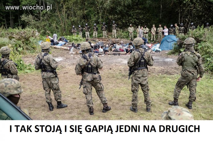 Komedii ciąg dalszy