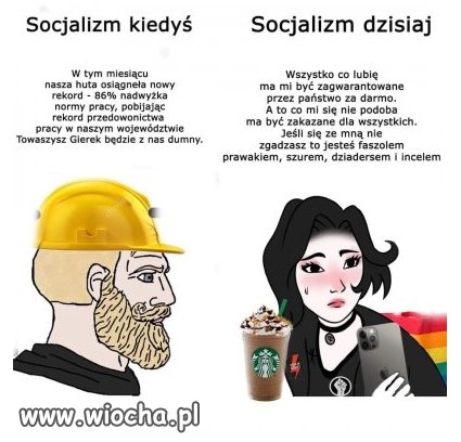Towarzysze się rozleniwili