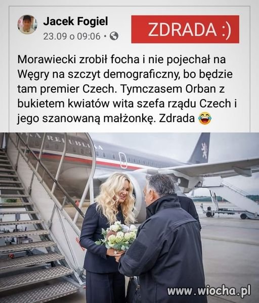 Zdrada
