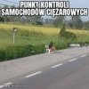 Kierowcy  osobówek 
