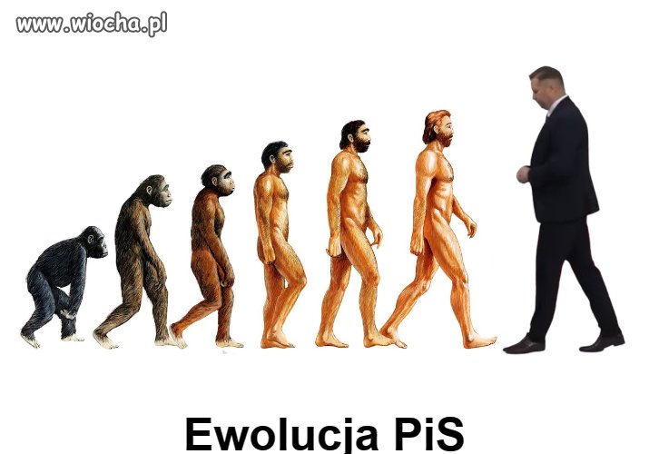 Ewolucja 