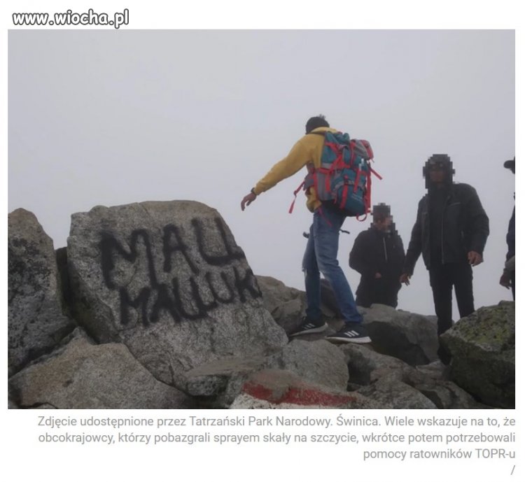 Pobazgrali skały na Świnicy