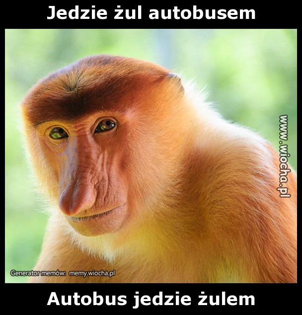 Jedzie żul autobusem