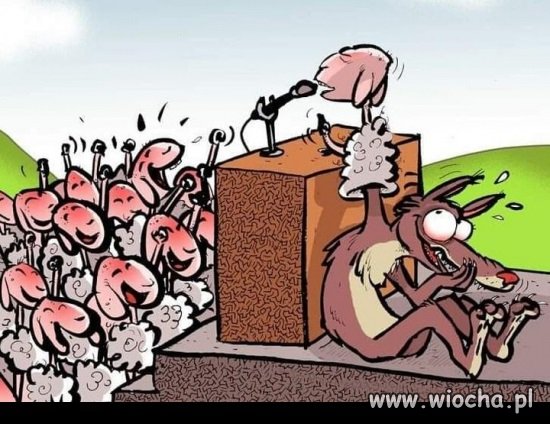 Politycy...