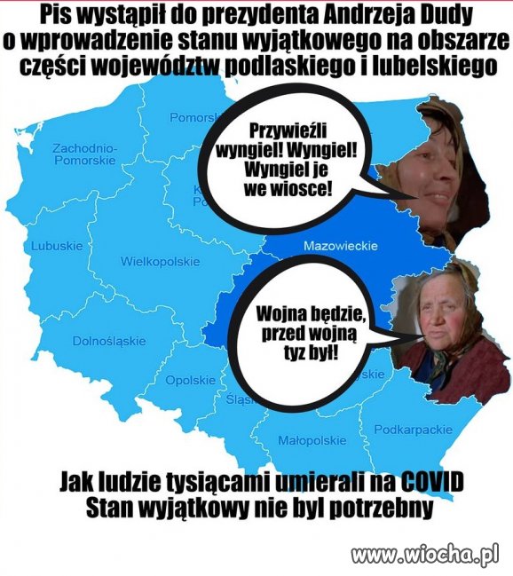 Tytuł zbędny.