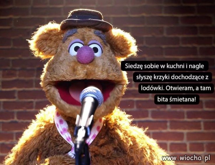 Bez polityki 