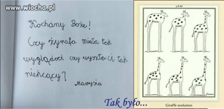 Czyli schrzaniłeś, przyznaj się...