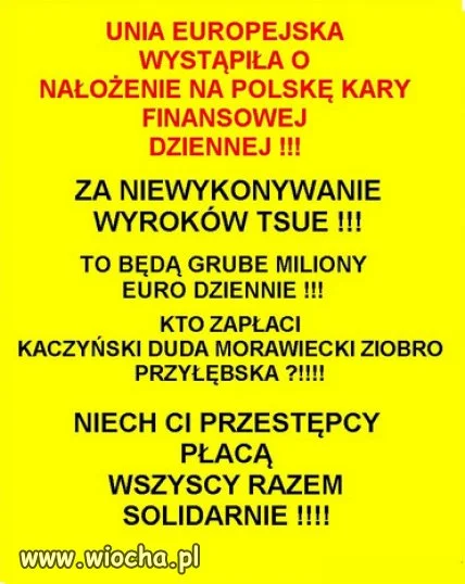 Niech płacą PiS kler i oczywiście wyborcy tego syfu
