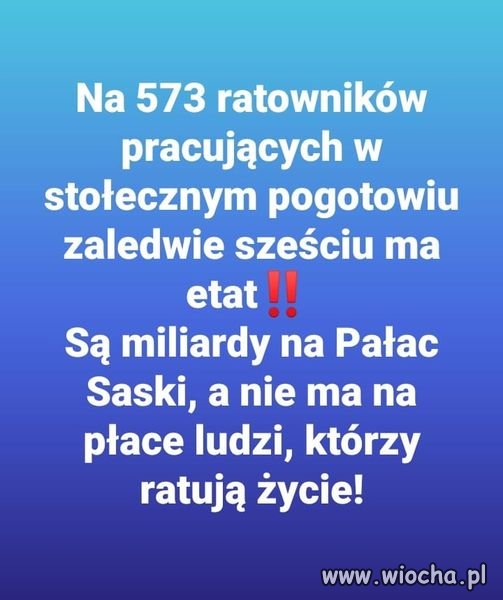 Pis i jego zakłamanie