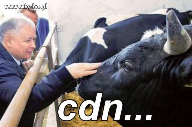 Czy ktoś widział finał tego rodeo ?