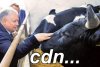 Czy ktoś widział finał tego rodeo ?