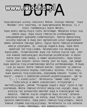 Jedno słowo a tyle znaczeń 