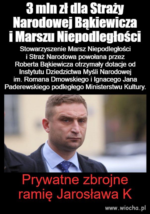 Prywatne bojówki PiS-u 
