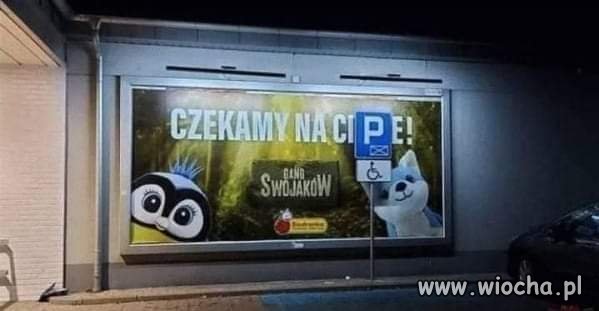 Promocje z Biedry 