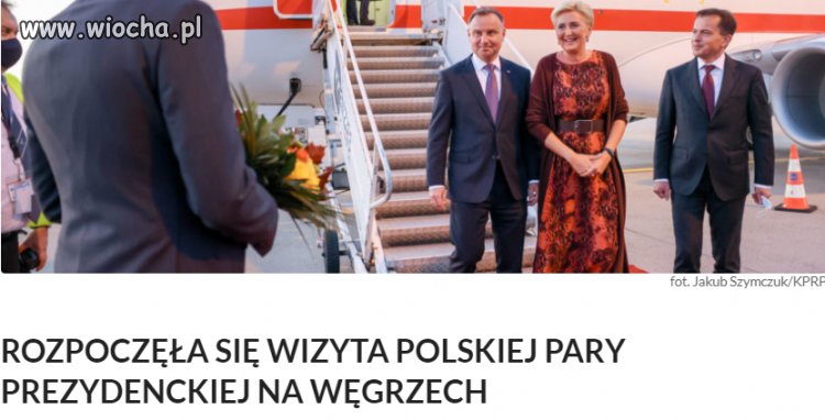 Ostatni przyjaciele pisu