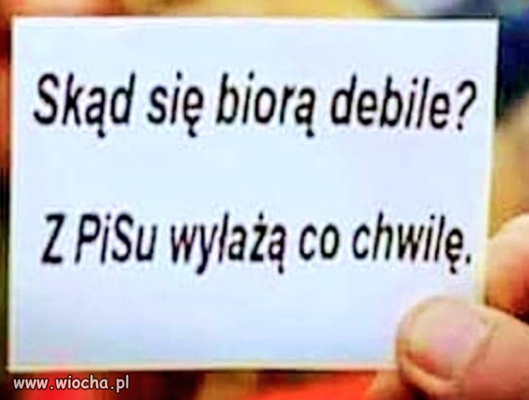 Polska poezja XXI wieku