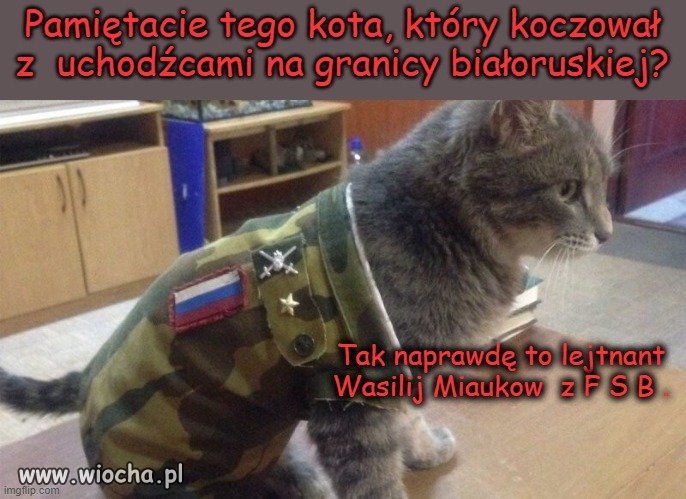 Wasilij Miaukow