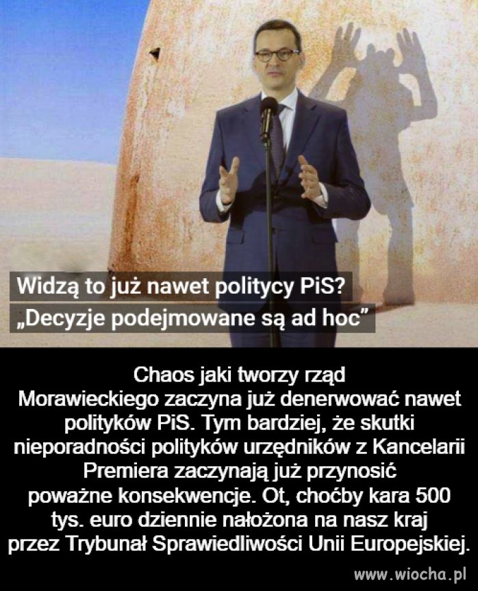 Widzą i nic nie robią 