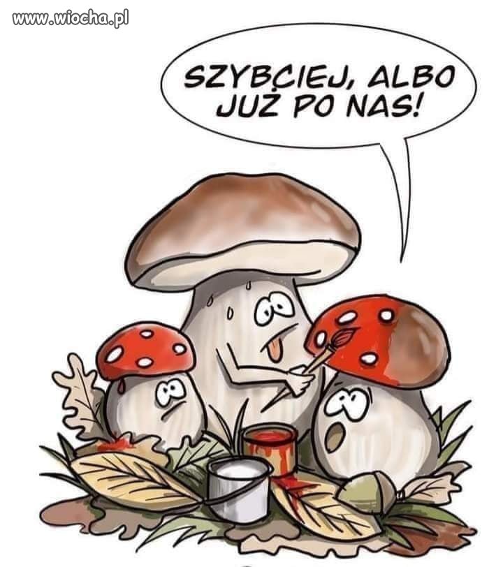 Zabawne.