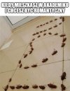 Już za tydzień