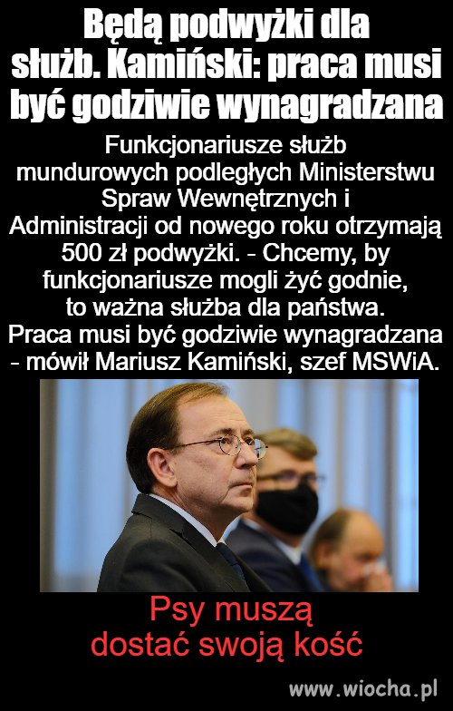 Kość dla psa 