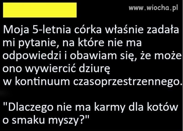 No właśnie 