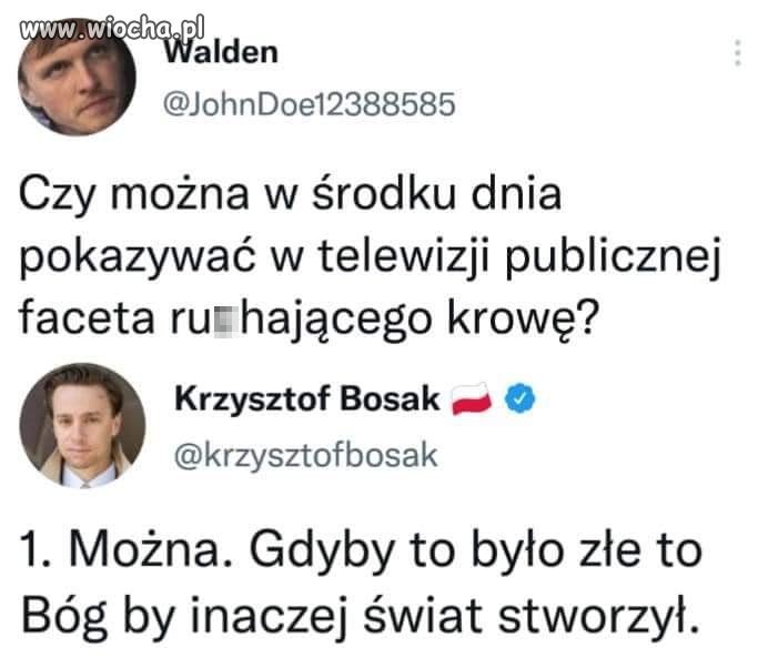 Mistrz 
