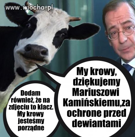 Komentarz zbędny.