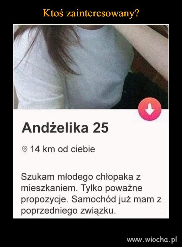 Przedsiębiorcza Andżelika 