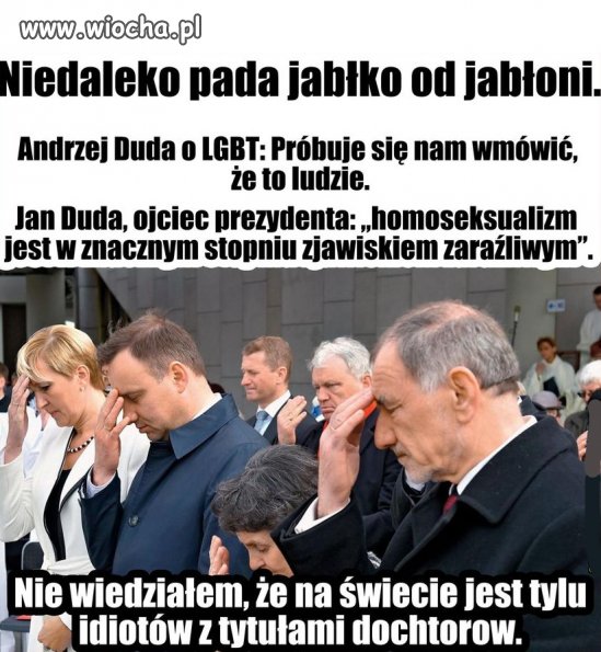 Tytuł zbędny.
