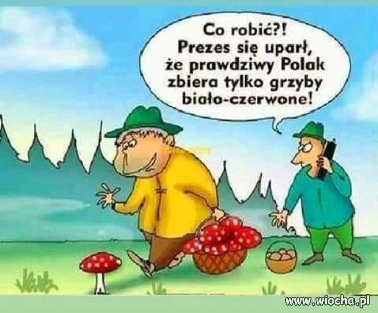 Z prezesem na grzybobraniu ...