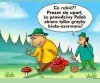 Z prezesem na grzybobraniu ...