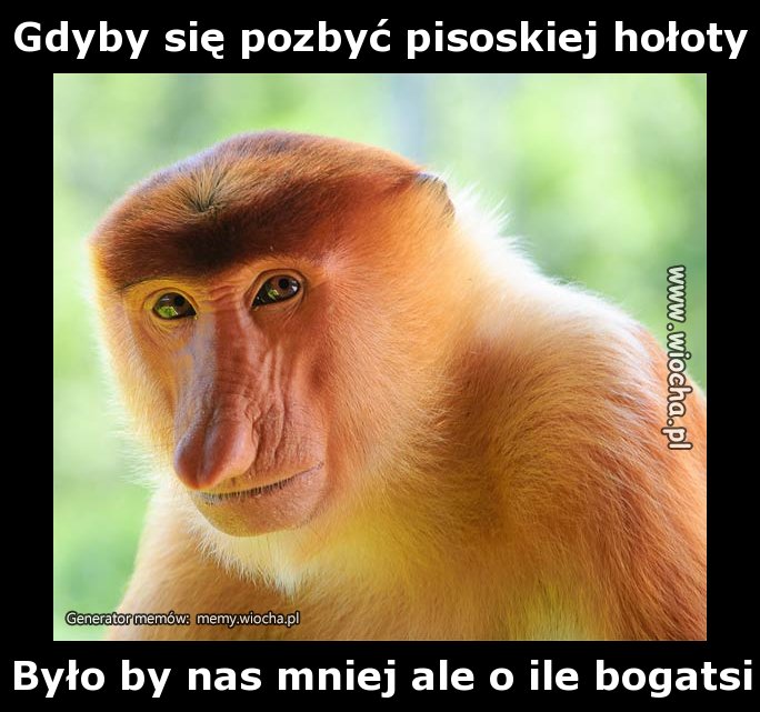 Gdyby się pozbyć pisoskiej hołoty
