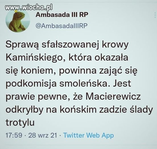 Jestem ciekaw końcowego raportu