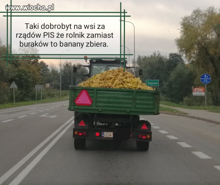 BANANOWY KRAJ